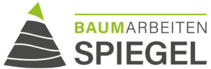 Baumarbeiten Spiegel