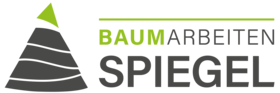 Baumarbeiten Spiegel